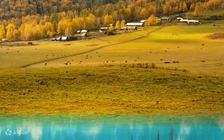 9-Day Immersive Altay, Northern Xinjiang Tour (Keketuohai Scenic