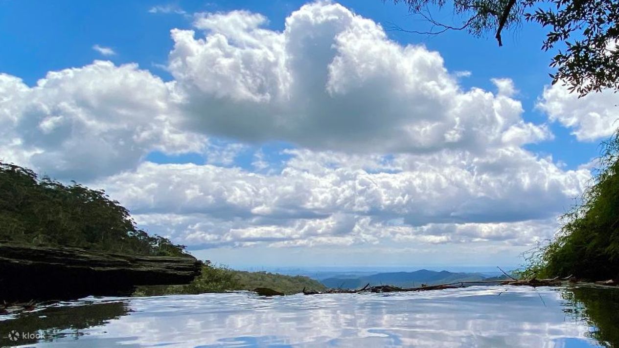 Springbrook National Park Day Tour from Brisbane Klook ÉtatsUnis
