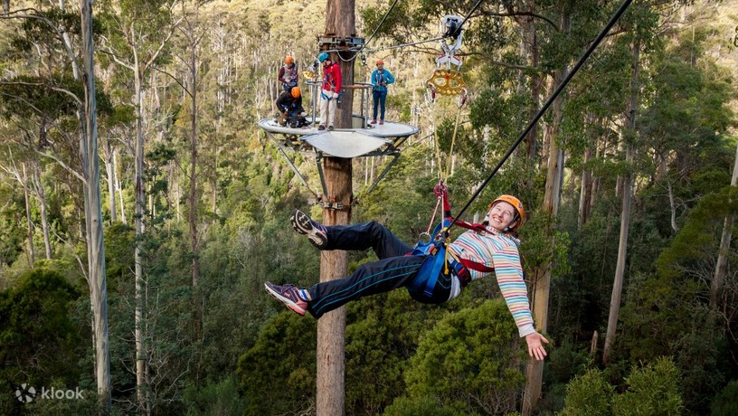 Hollybank Wilderness Adventures in Launceston - 클룩 KLOOK 한국