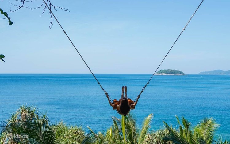 Rock Beach Swing