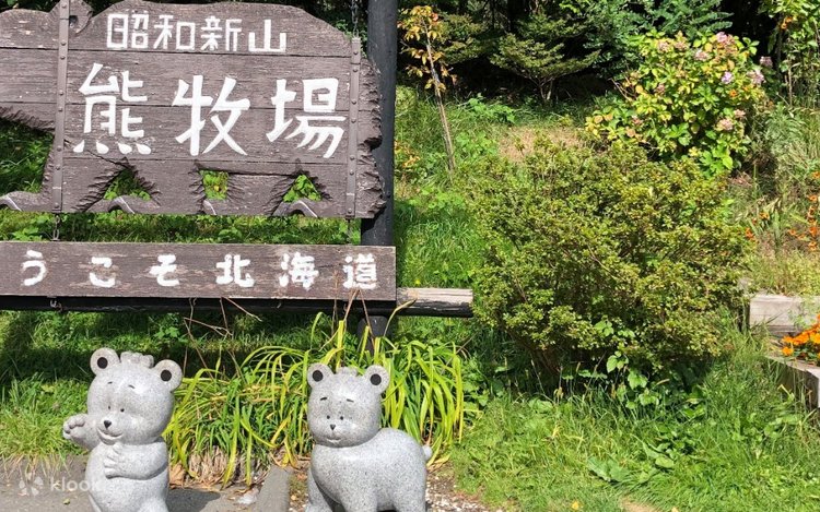 北海道・昭和新山熊牧場 入場チケット - Klook