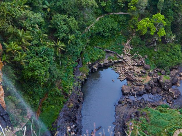 1 Day Springbrook Private Car Charter from Gold Coast - 클룩 Klook 한국