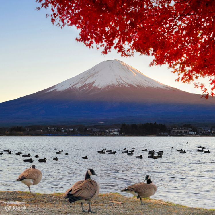 Mount Fuji Classic Tour Oshino Hakkai Gotemba Premium Outlets and Matcha Experience Klook Philippines