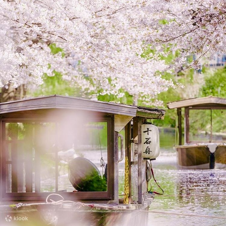 最先端 boat Ten-stone rafting tunnel blossom cherry the through 菓子