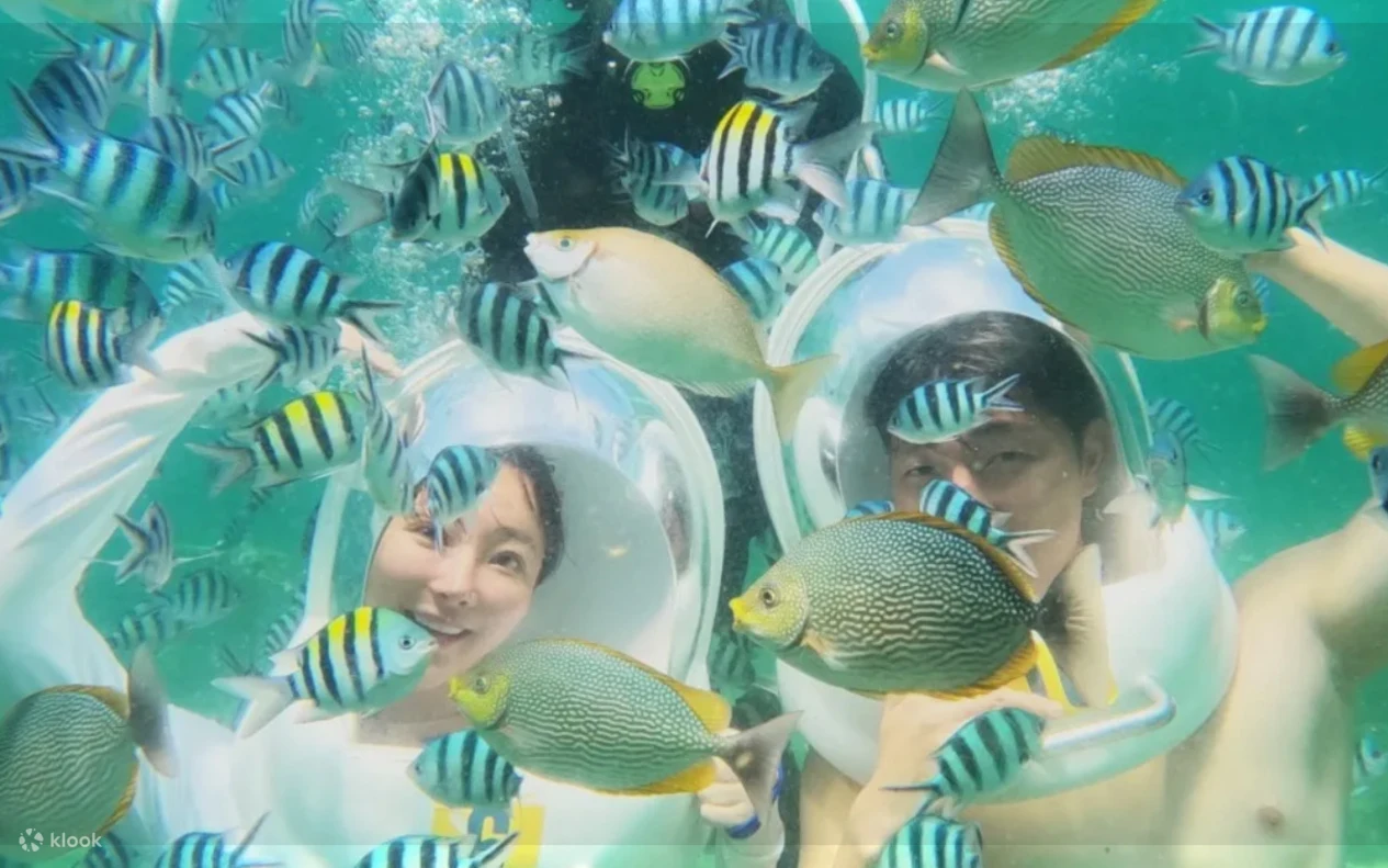Snorkeling & Island Hopping at Sapi & Manukan Island in Sabah