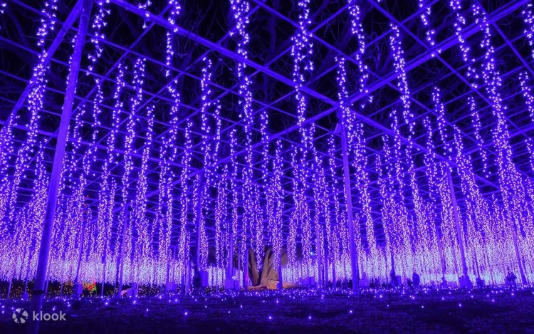2025 Autumn Limited! Garden of Light Flower Illumination