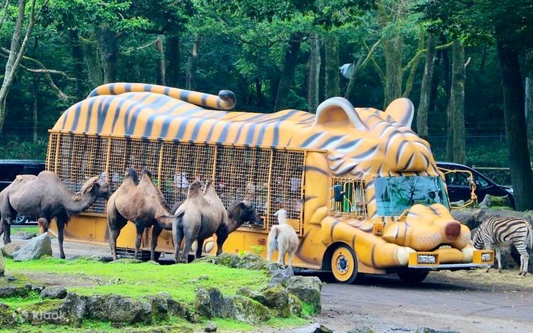親子で楽しめる】富士サファリパーク×忍野八海×大石公園｜動物との