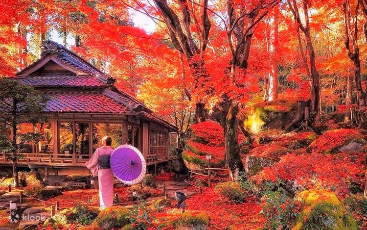 Limited Autumn Foliage Viewing | Hieizan Enryaku-ji Temple