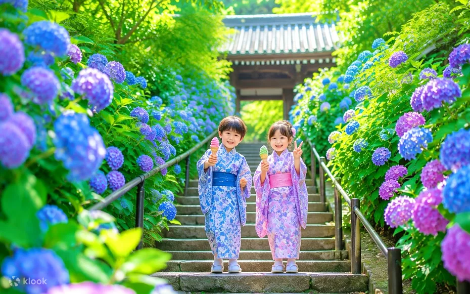Kamakura Hydrangea Coastline Full-Day Tour