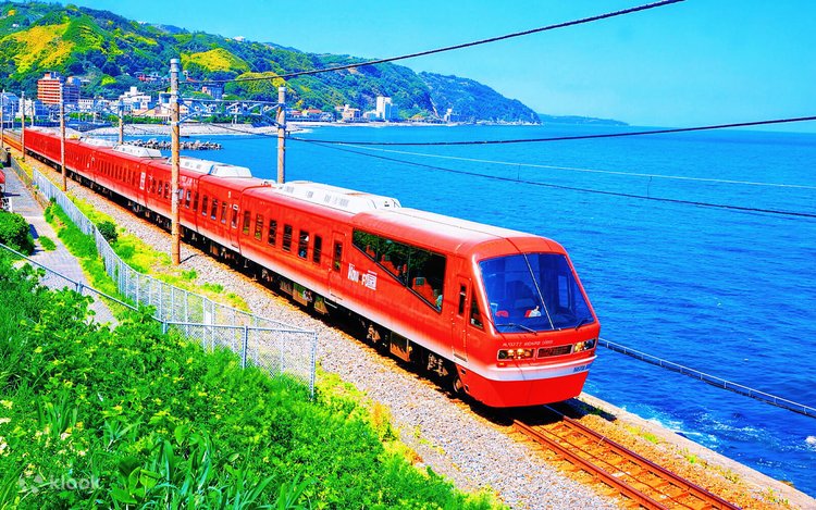 ワコーズ Izu Sea View Train Experience - Mount Omuro Jogasaki Coast
