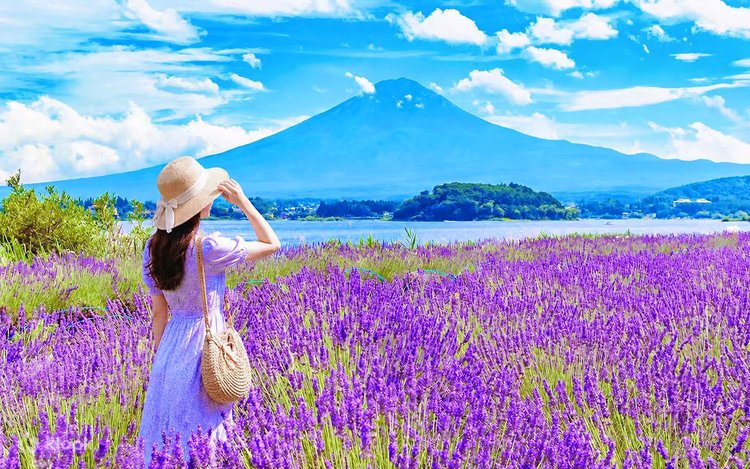 東京発 富士河口湖・山中湖温泉 日帰りバスツアー - Klook