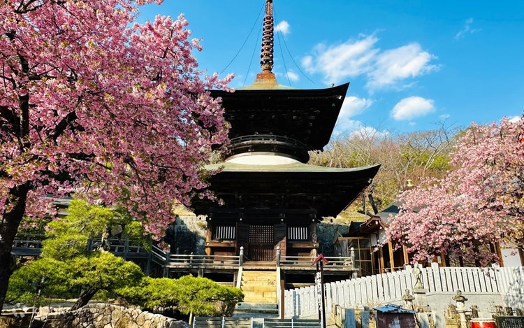 ララ様 確認用 雲居の君 東京発】茨城 雨引観音 千本桜＋常陸国 出雲大社＋日立大宮辰ノ口