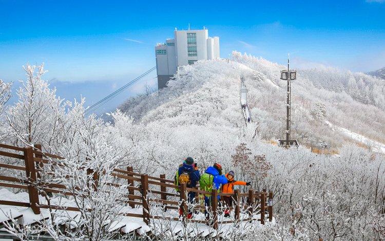 釜山：雪の季節 アイスバレーケーブルカー＆ユネスコスポット発見