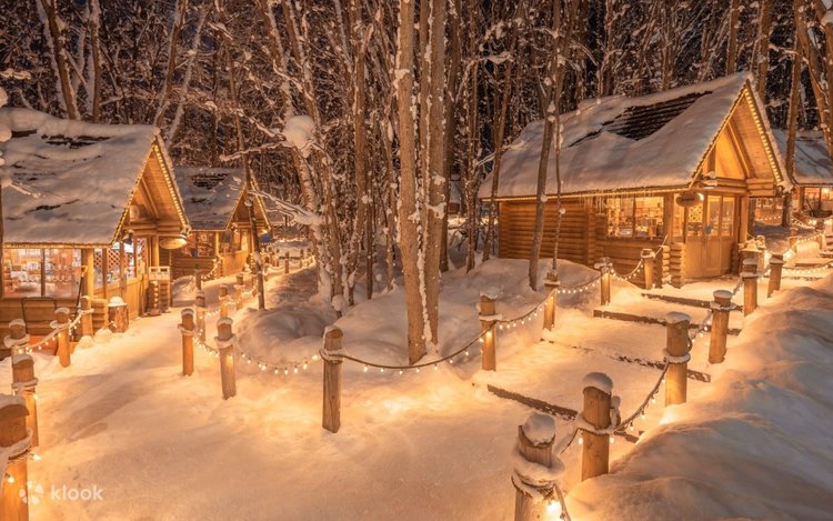 Hokkaido: Asahiyama Zoo, Blue Pond & Ningle Terrace Night View Day