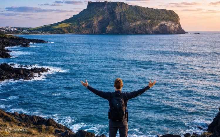 Jeju Spring Blossom Tour | Instagrammable Photo Spots - Klook
