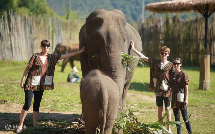 Mitmachen in Chiang Mai: National Elephant Care & Bambus-Rafting Ziplines  Trip in Chiang Mai - Klook Deutschland