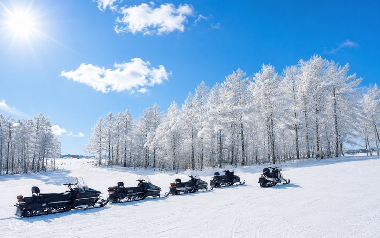 Sapporo Full-Day Winter Snowland & Ningle Terrace Experience with