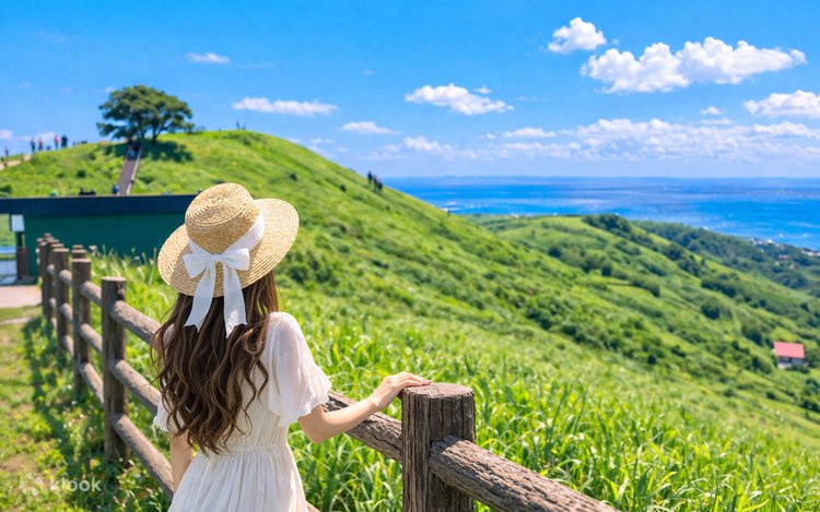 Hakone Shrine & Jōgasaki Coast & Mt. Omuro in Izu Day Trip (From