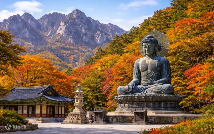 Mt.Seoraksan/Nami island/ Naksansa temple/Morning calm garden tour