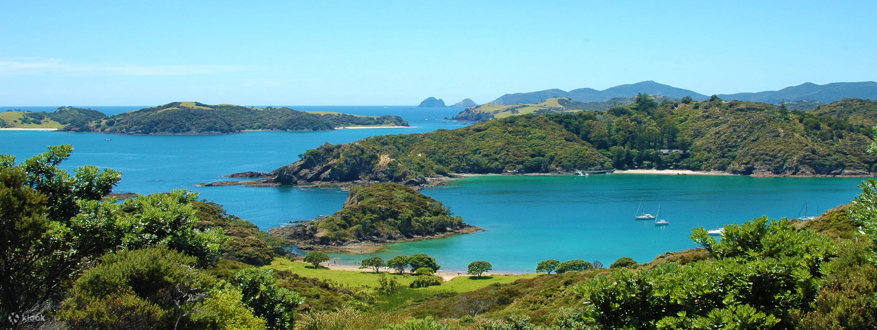 Best things to do in Bay of Islands 2024 Attractions & activities