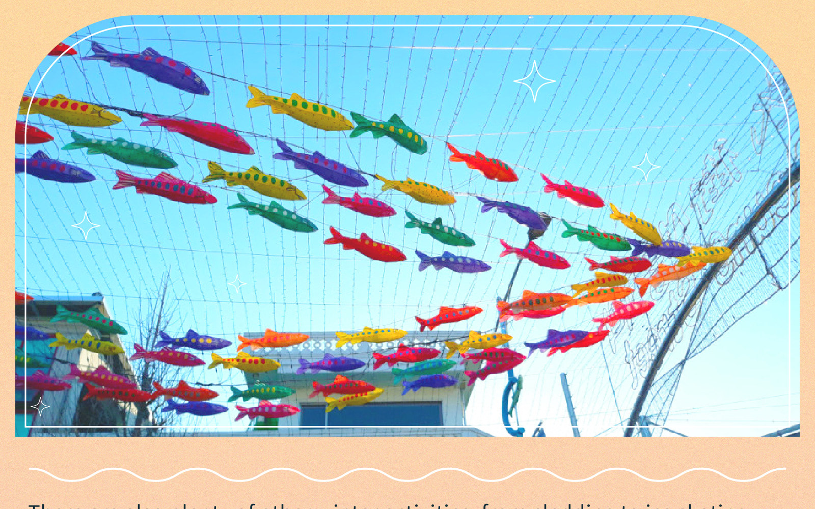 Pyeongchang Trout Festival Ice Fishing Exp. (Tent+Chairs+Equipment)