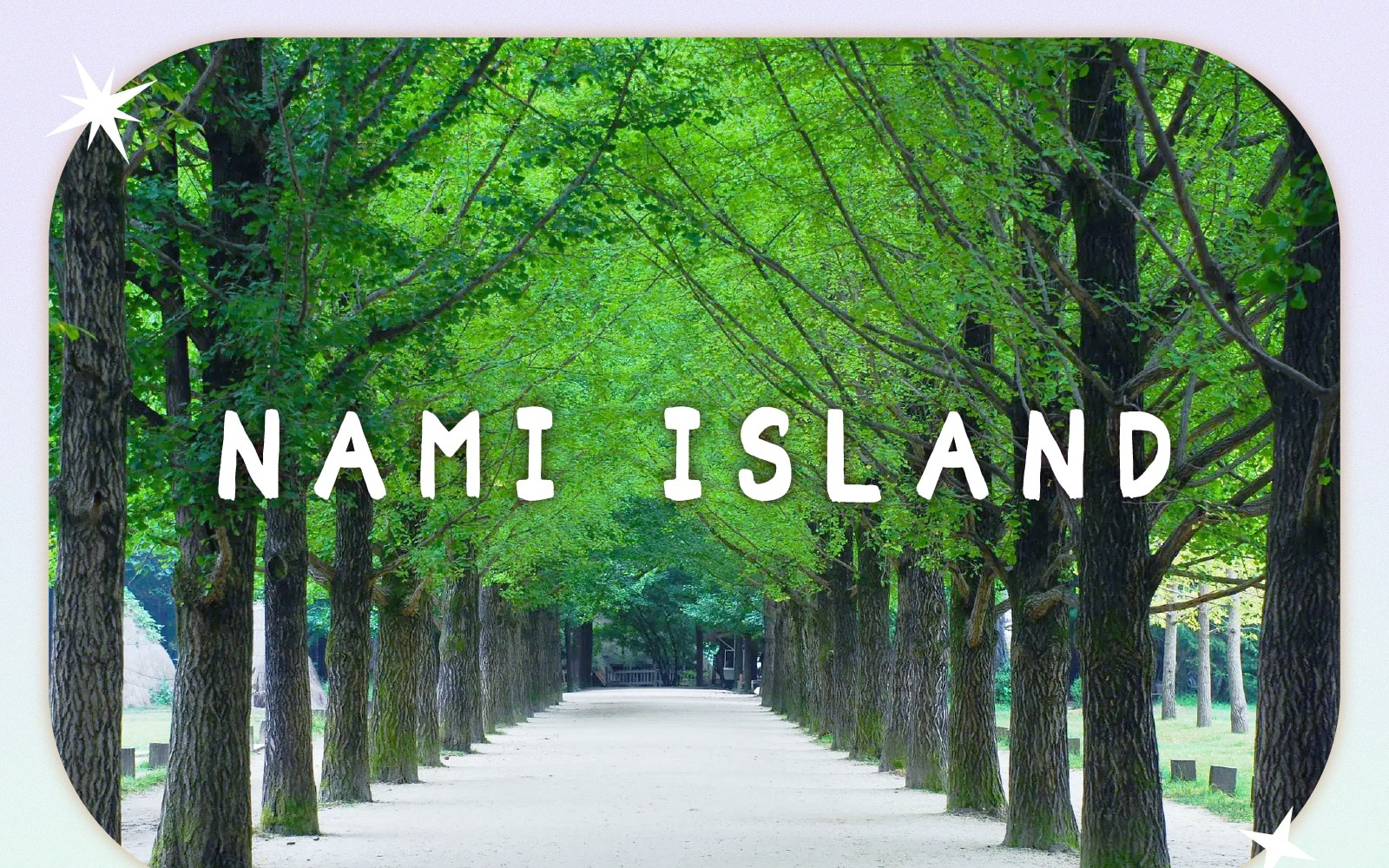 羊駝牧場 / 南怡島 / 江村鐵路自行車 / 晨靜樹木園 / 樂高樂園 /  秋海棠鳥園