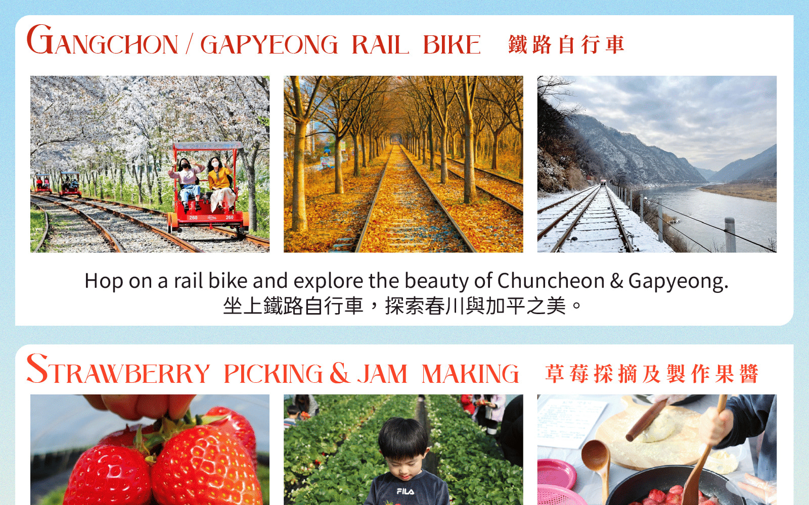 三岳山纜車 / 晨靜樹木園 燈光節 / 採摘草莓 / Eobi冰谷 / 雪橇 一日遊