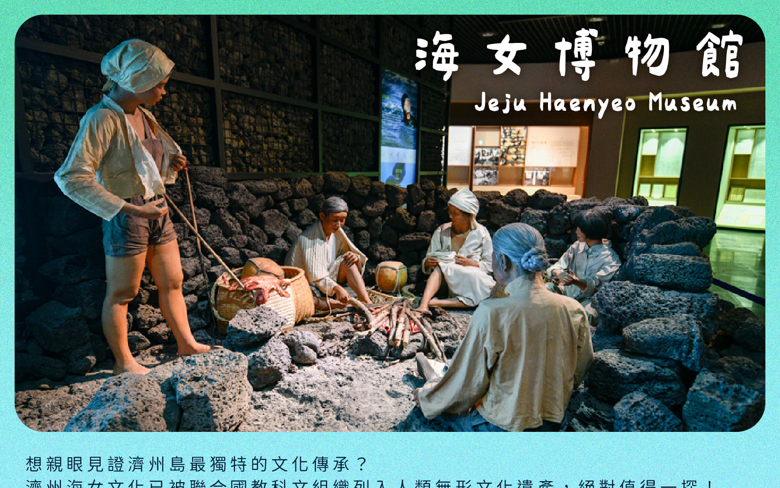 Jeju Eastern / Western / Cherry Blossom / Hydrangea / Private Tour 