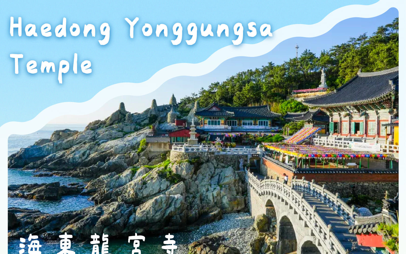太宗臺繡球花 / 松島海上纜車 / 甘川洞 / 廣安裡之旅