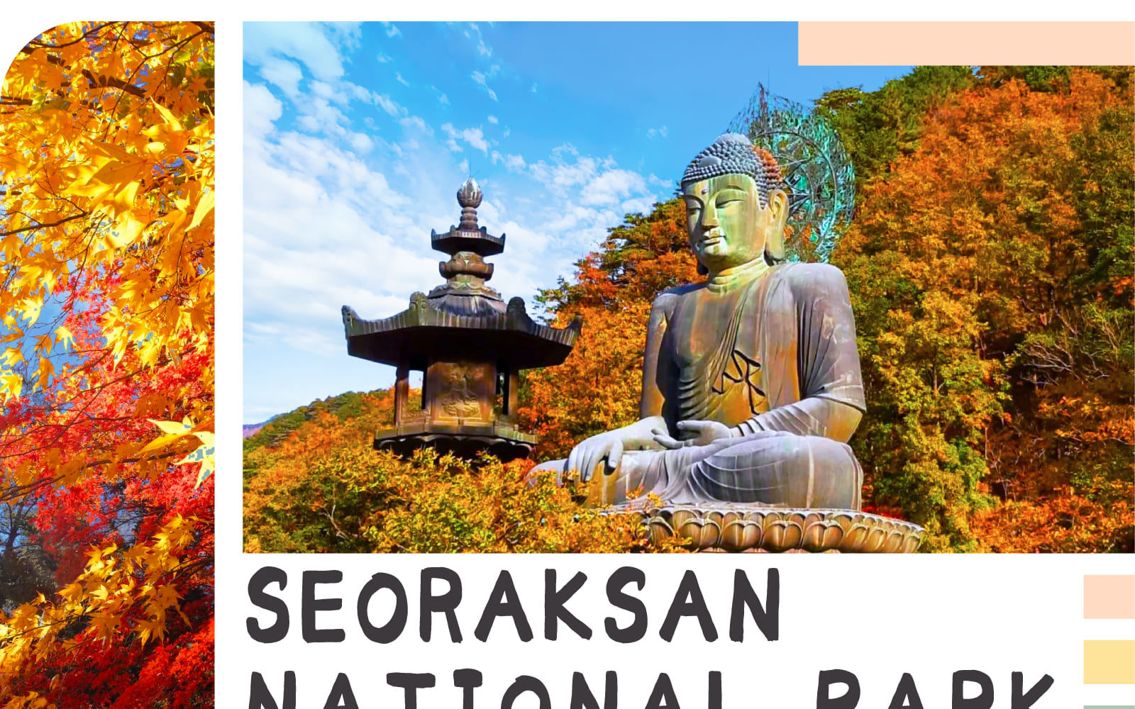 Mt. Seoraksan Cable Car x Sokcho One day Tour (from Seoul) 