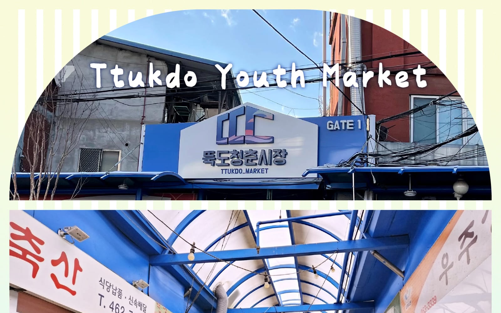 城東區 & 首爾森林城市熱門景點半日遊