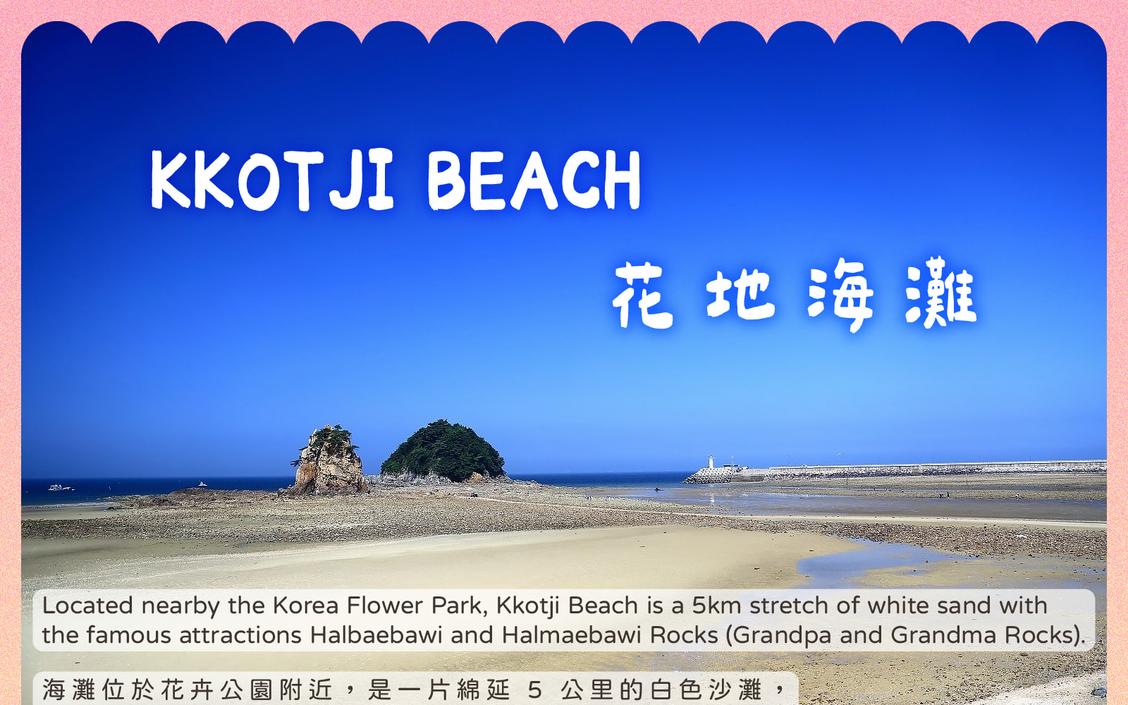 泰安世界鬱金香節 + 安眠島 花地海水浴場 + 草莓採摘 一日遊 (首爾出發)