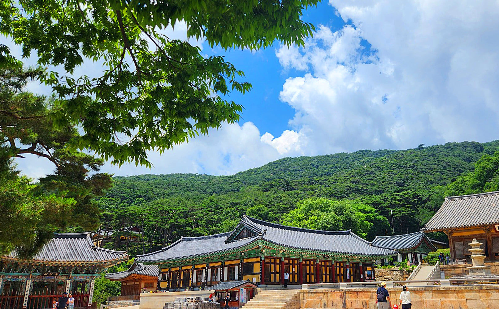 保寧泥漿節＆大川海灘＆吊橋之旅