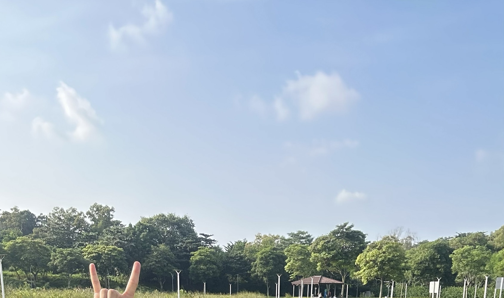Singapore Sunrise Cycling Tour (Hidden Nature + Local Breakfast) - Thumbnail 14