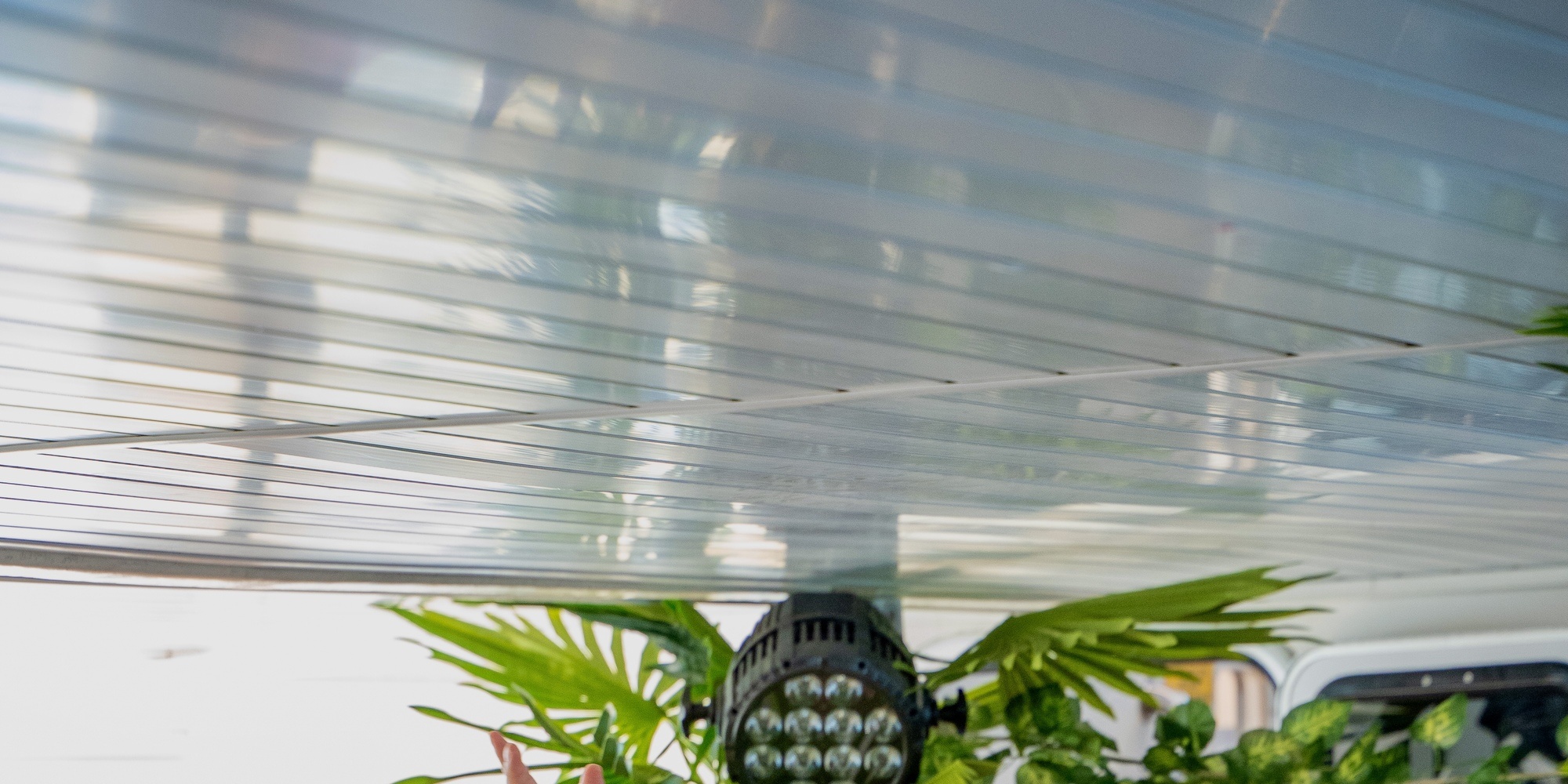 陽光、海洋，還有難忘的氛圍！這不只是一場派對，而是一場海上嘉年華！