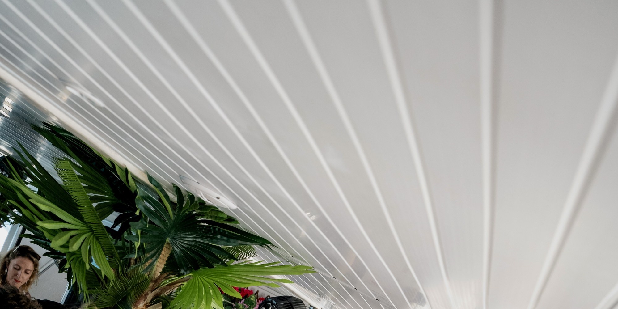 為音樂而來，為魔法而留！