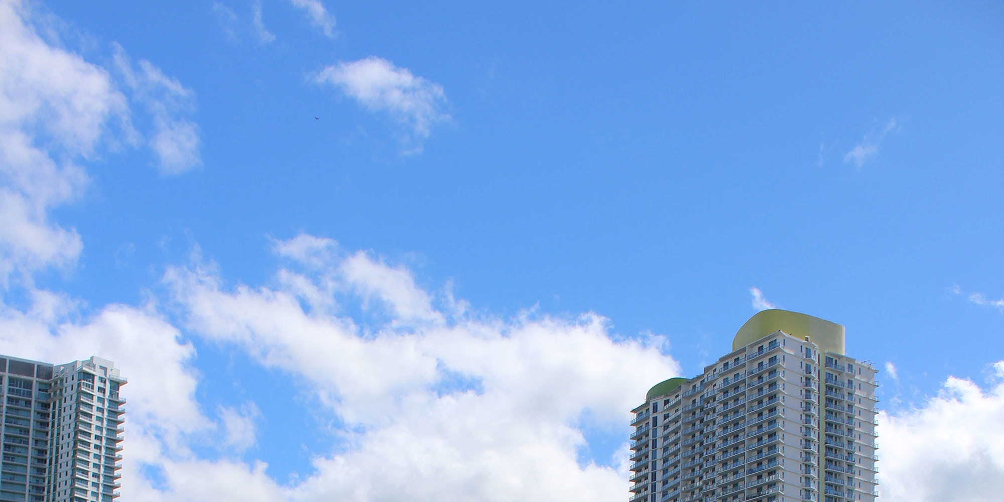 Miami Safari: All-in-1 Tour, Bus, Boat and Walking Best Discovery
