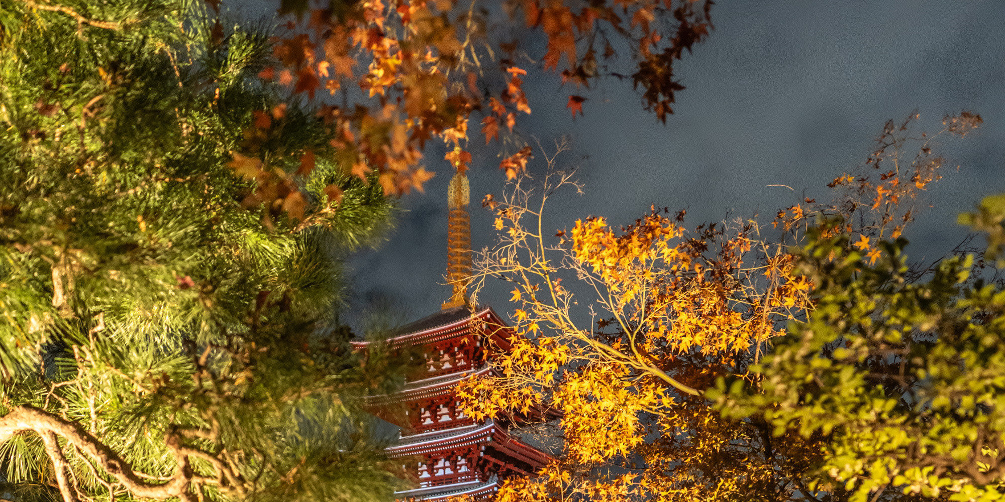 ASAKUSA CULTURE & LIGHTS 2026 - Thumbnail 6