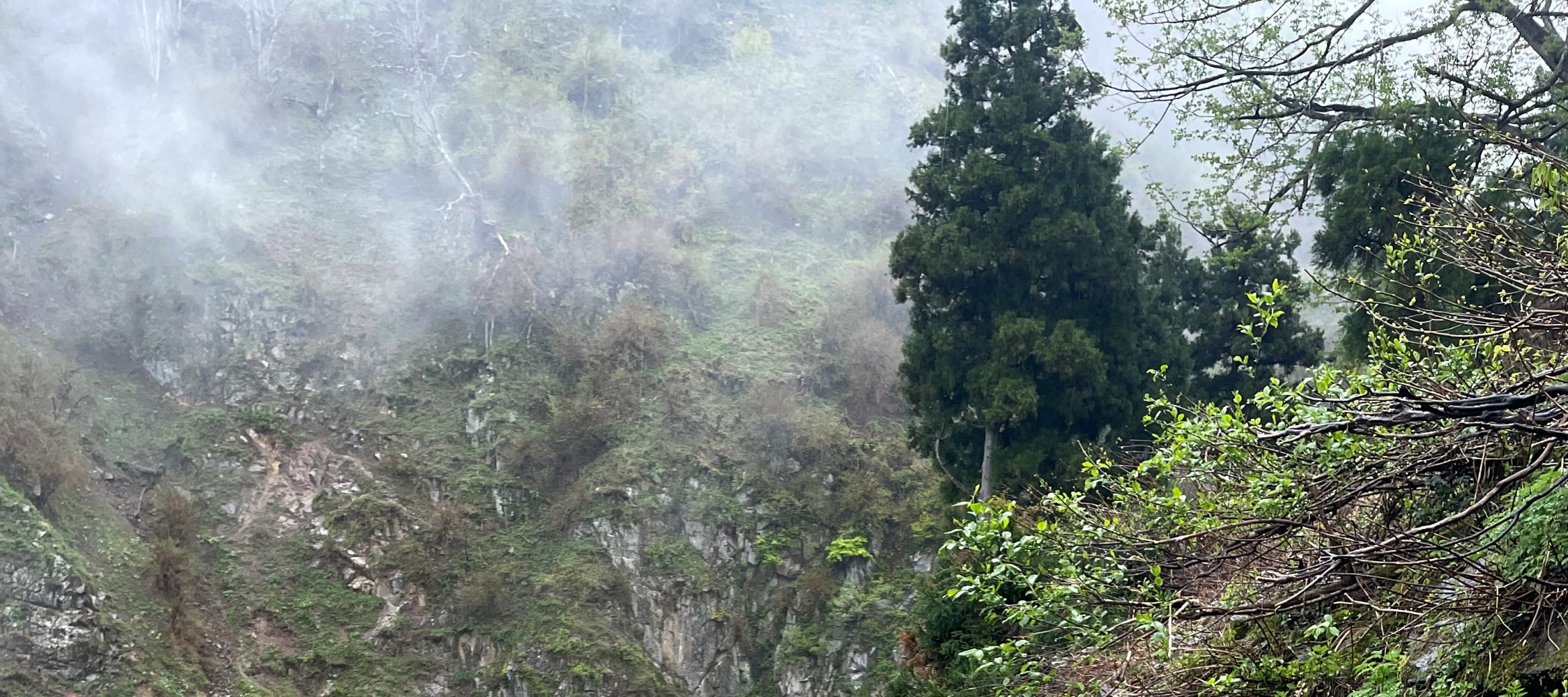 Snow Monkey Park & Shibu Onsen Private Tour