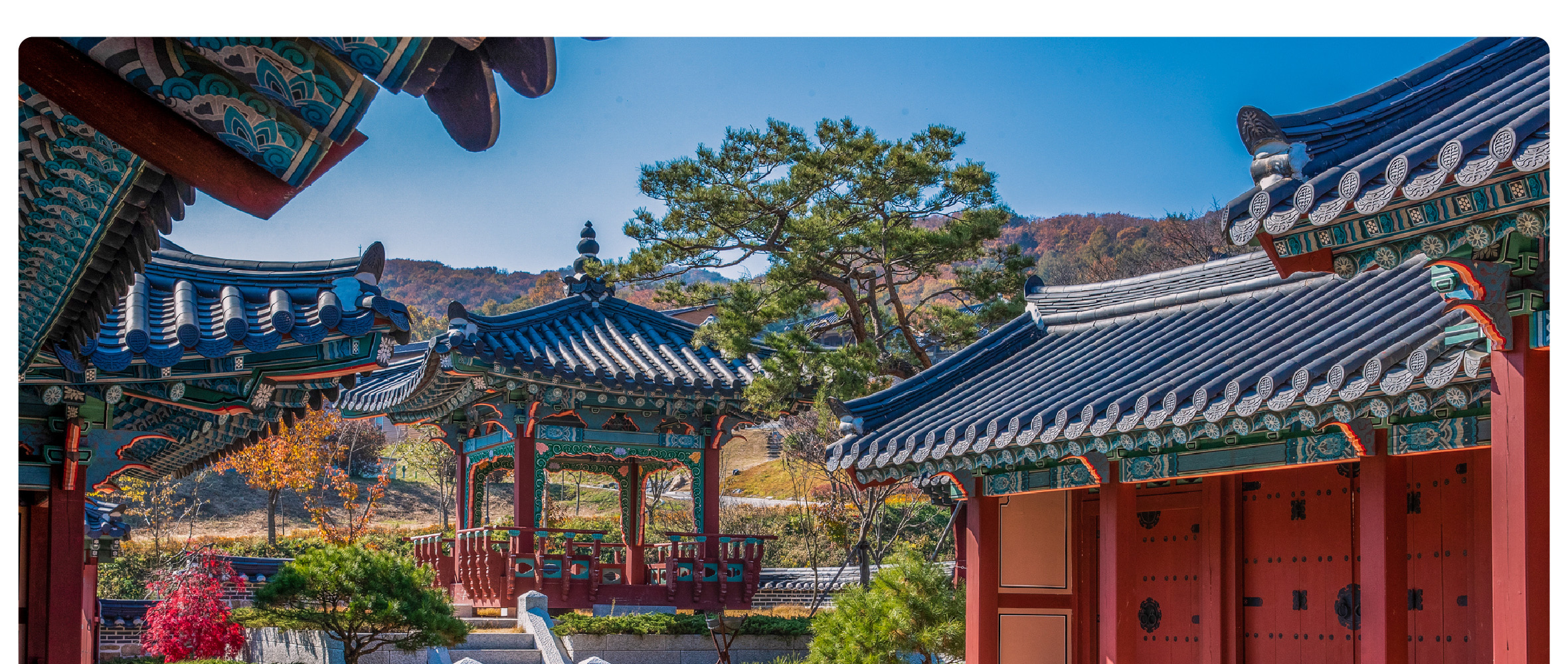 防彈少年團粉絲阿米踩點一日遊（首爾出發）