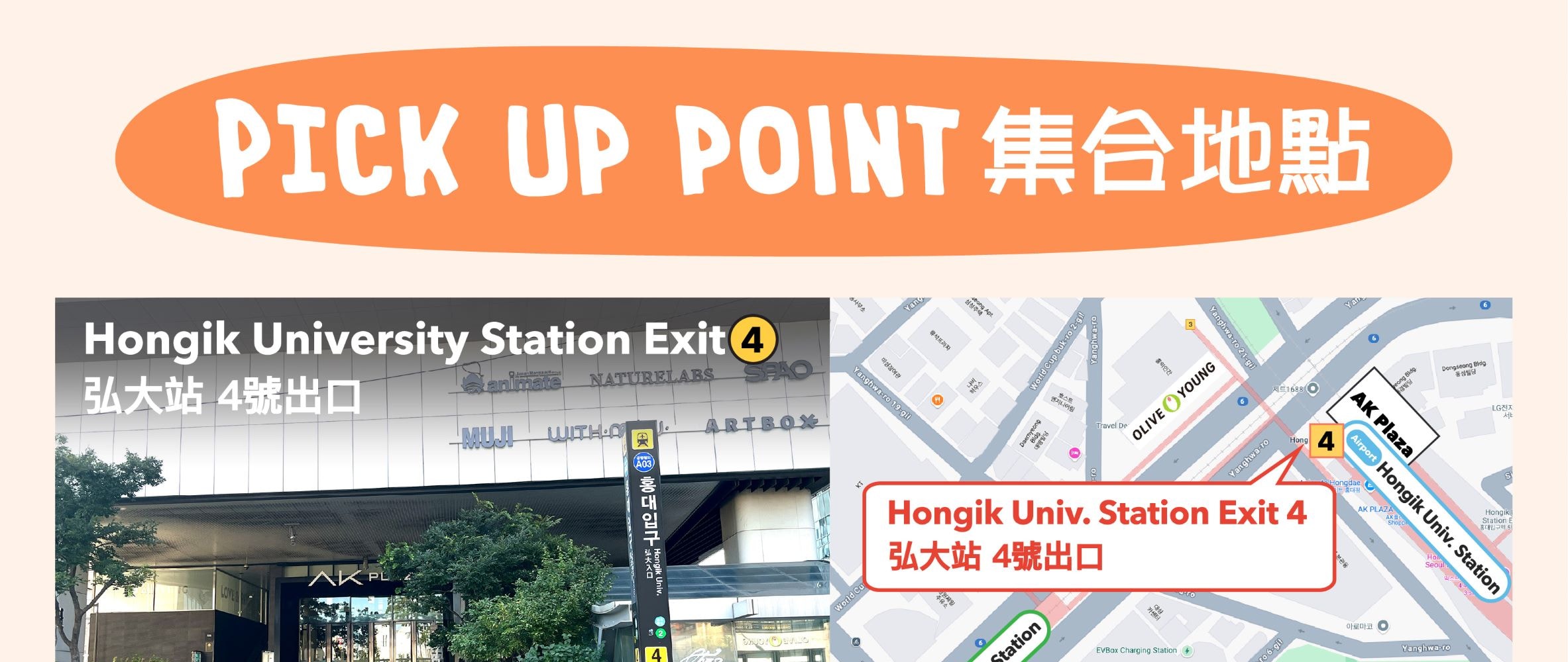 The Stay Healing Park / 草泥馬樂園 / 南怡島 / 鐵道自行車一日遊（首爾出發）