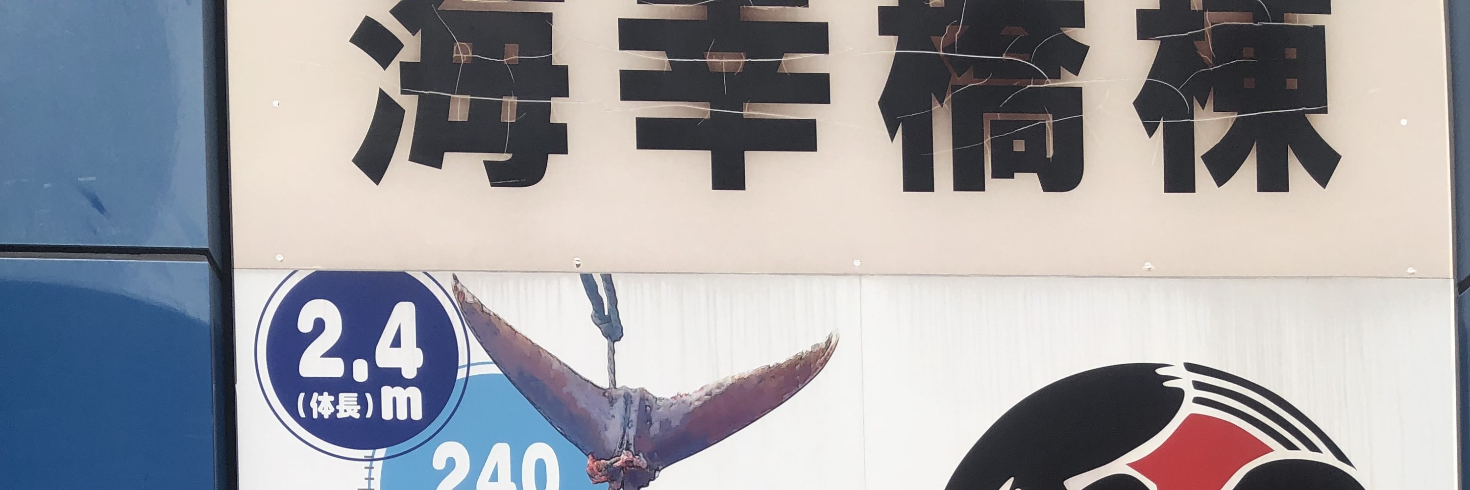 東京築地魚市場私人美食之旅