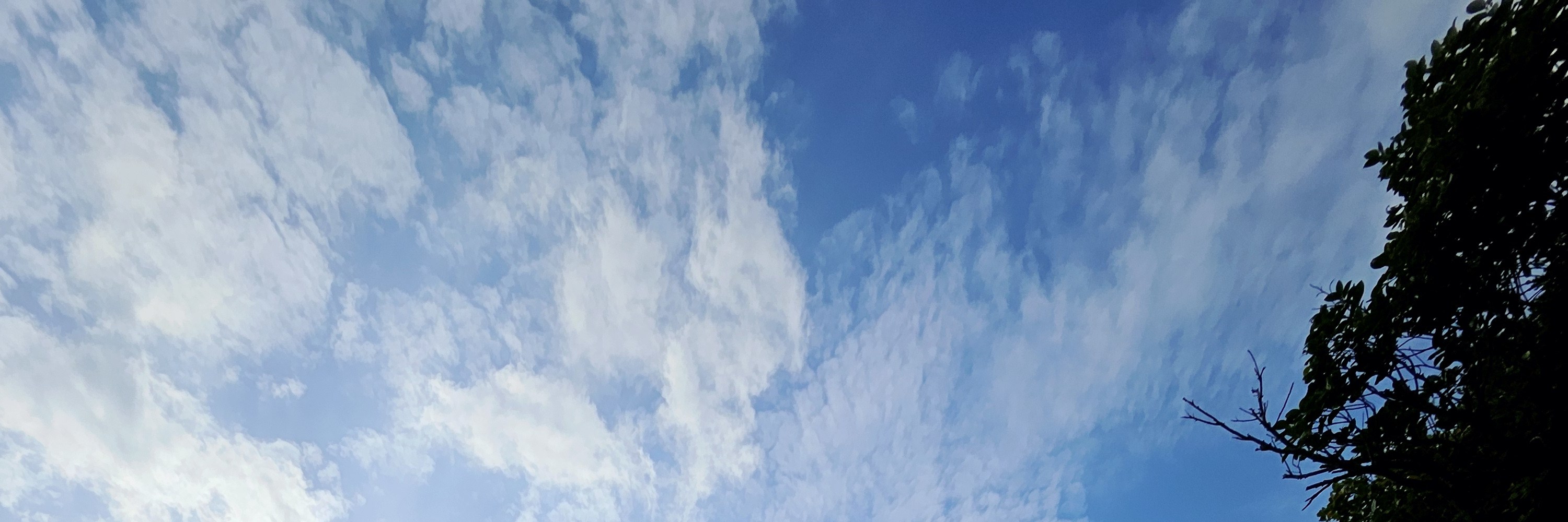 阿拉哈海灘
