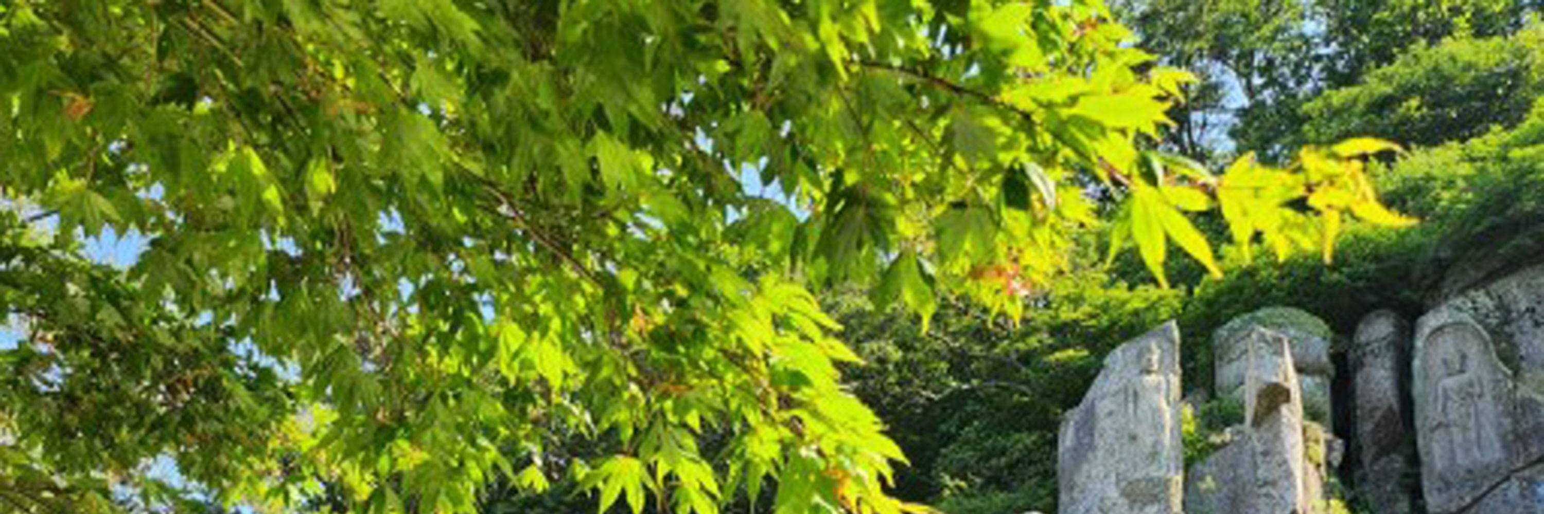 石佛寺 & 金井山炮臺徒步之旅