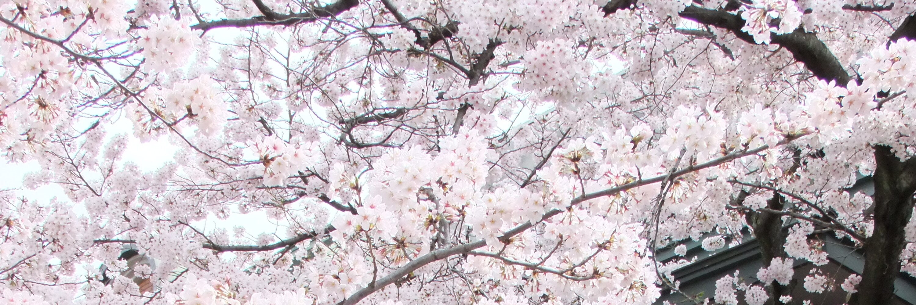 京都東映太秦映畫村門票