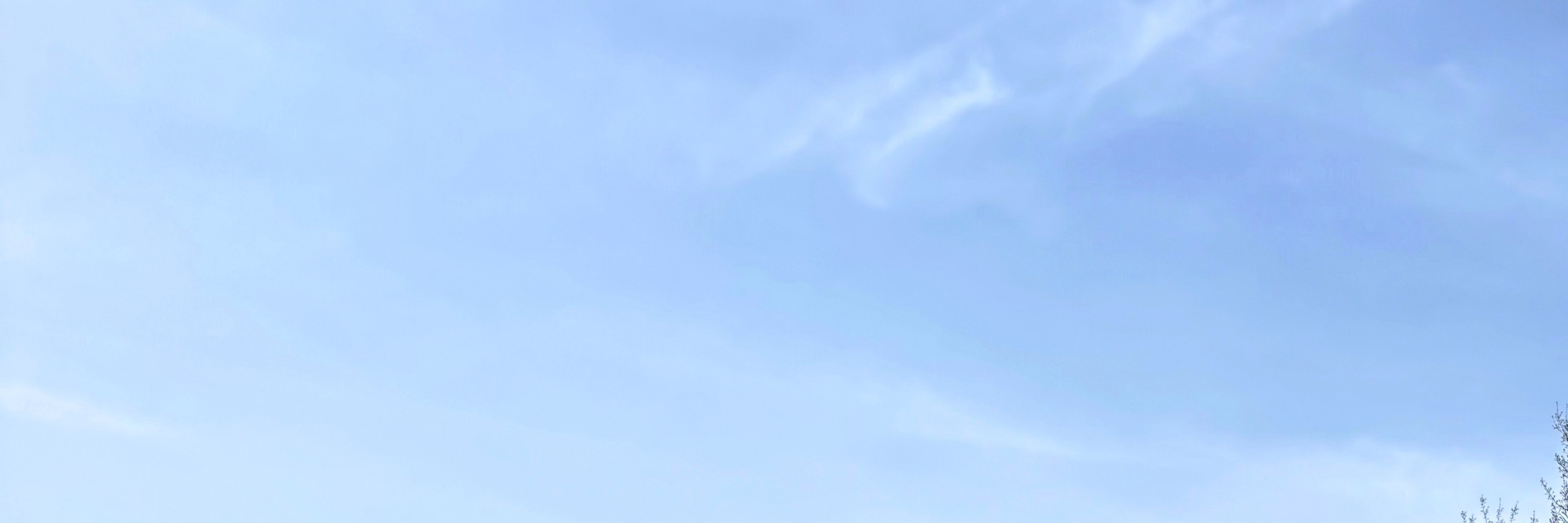 【穆斯林友好|富士山一日遊】新倉山淺間公園+富士天梯小鎮+穆斯林午餐+河口湖+網紅羅森便利店（東京出發）