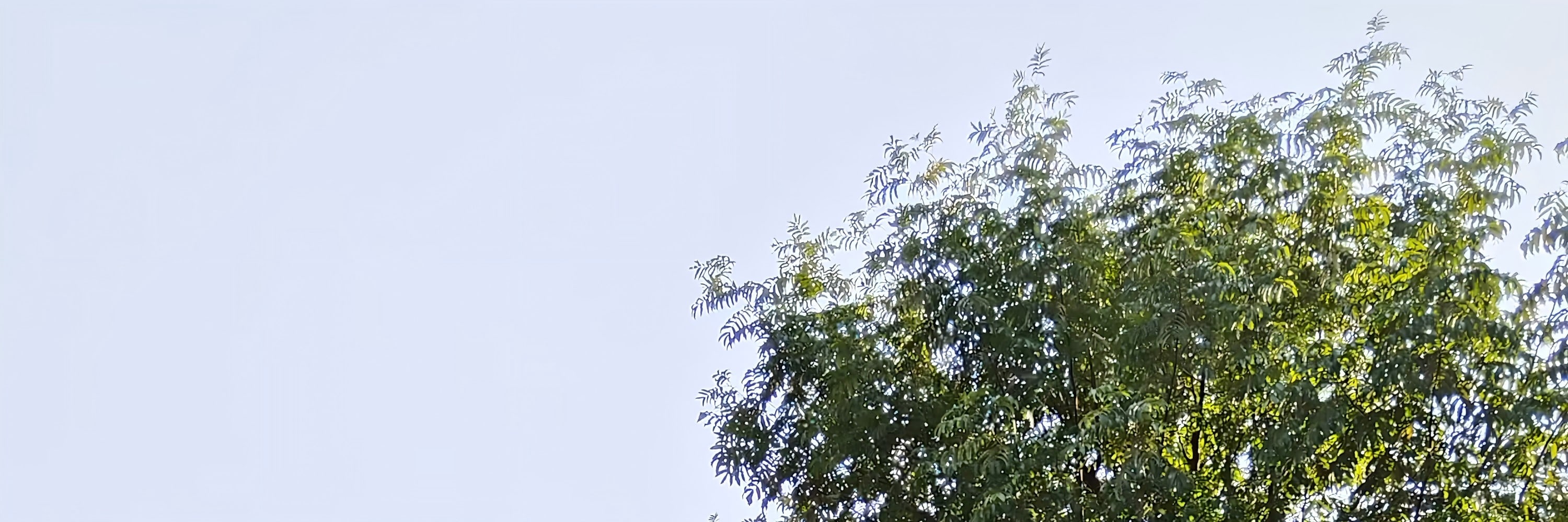 上海經典一日遊（豫園+老街+外灘輪渡+東方明珠+南京路步行街+上海小籠包+中國茶）