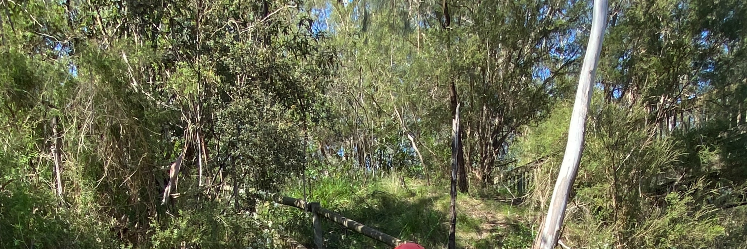 澳洲亞拉河谷白水皮划艇體驗（White Water Kayaking）