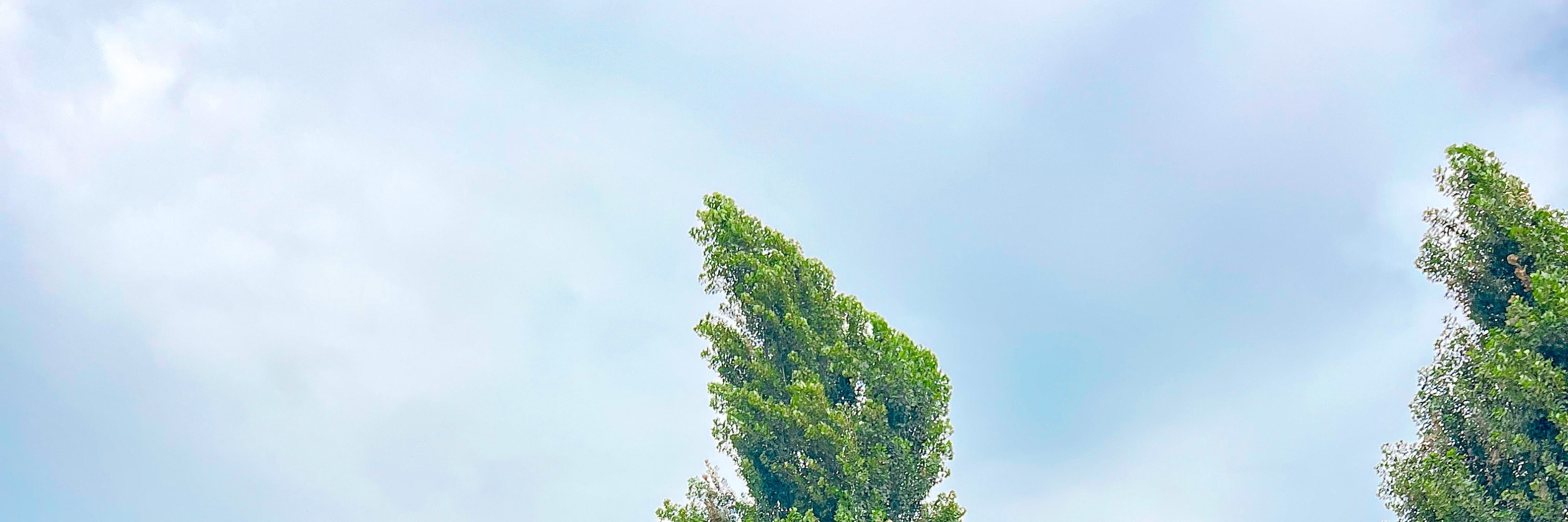 首爾漢江（盤浦）野餐裝備租借服務