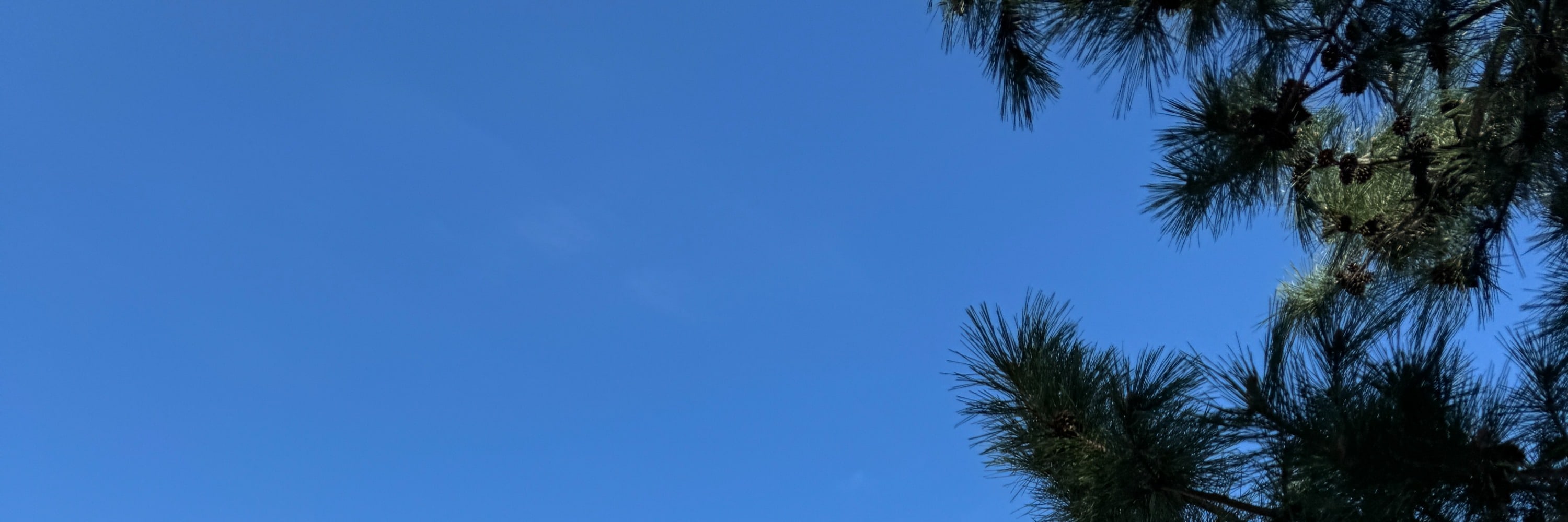 濟州島城市徒步之旅（含認證導遊）